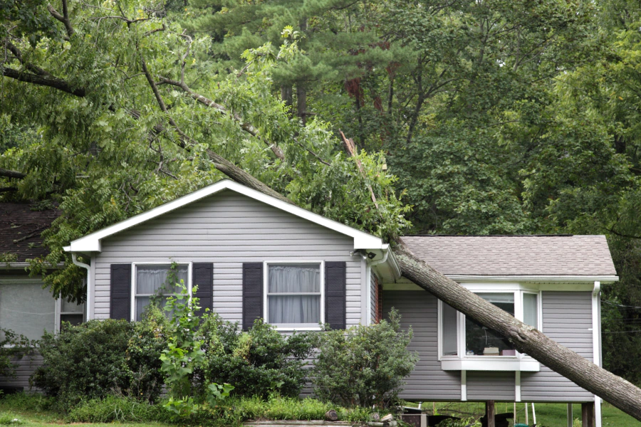 roof emergency services